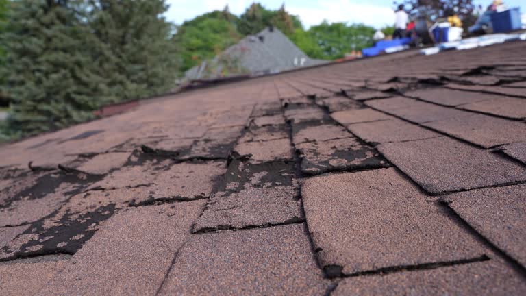 Best Emergency Roof Repair Services  in Hastings, PA